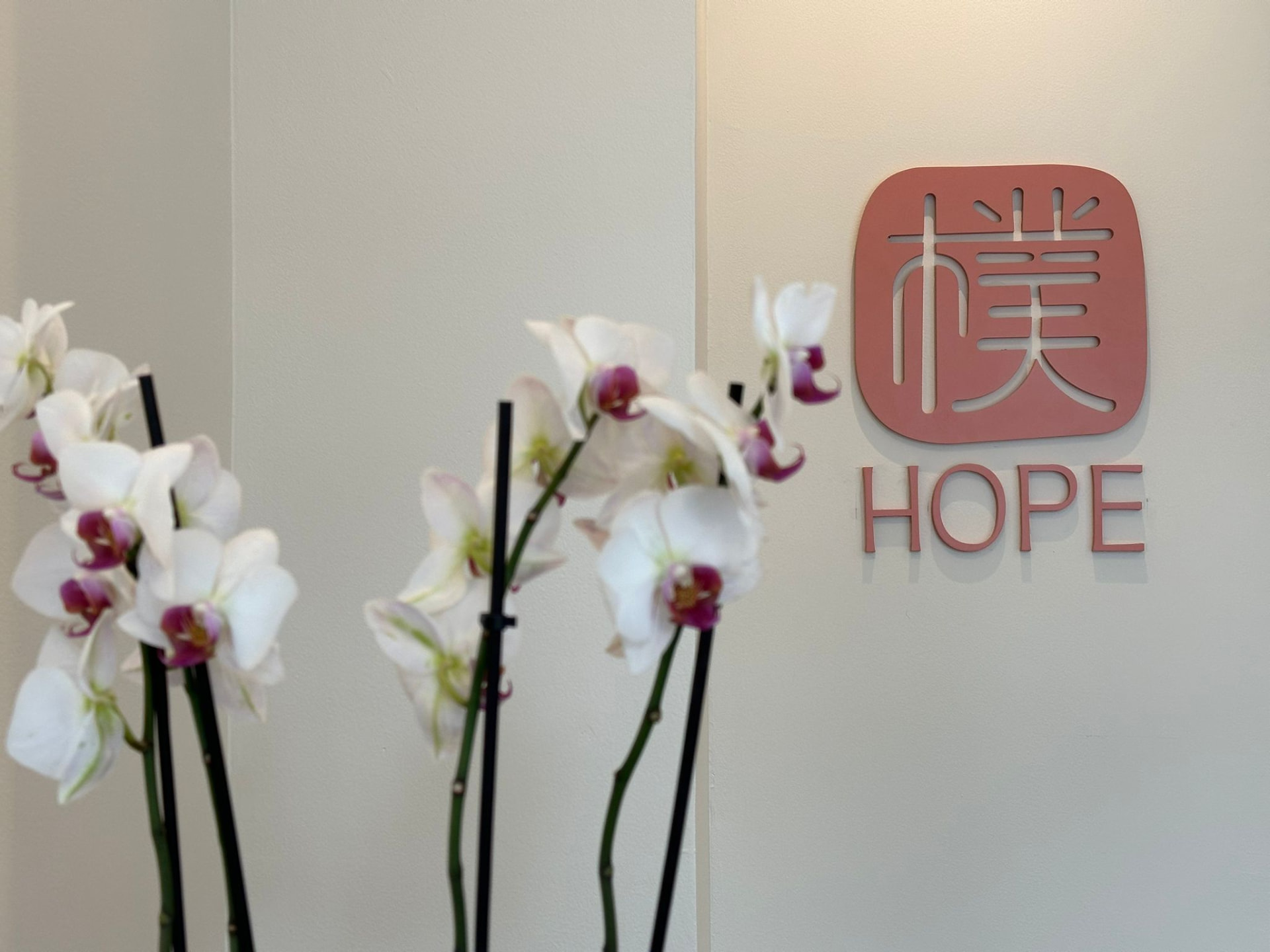 Le logo HOPE entouré d'orchidées dans l'atelier
